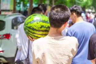 梦见去别人家买瓜吃瓜,瓜果飘香，探访邻家瓜园的奇幻之旅