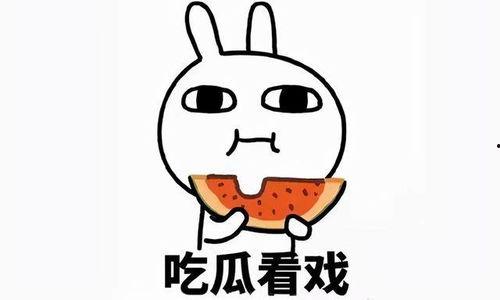 每日慧聪吃惯瓜,瓜界风云，吃瓜群众深度解析