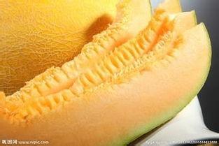 哈密瓜加热吃,暖意融融的甜蜜诱惑