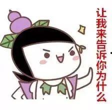 有人喊我吃瓜,跟随“吃瓜群众”探寻幕后真相