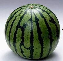 不吃瓜了吃西瓜,从“不吃瓜了”到“吃西瓜”的甜蜜转变