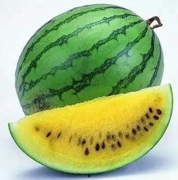 在唐朝堂上吃瓜,古风食趣一瞥