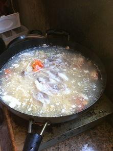 吃瓜海卡面,网红美食背后的故事