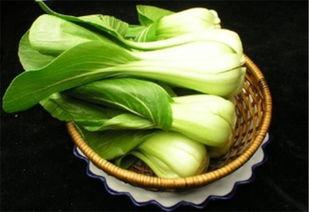 油菜和水瓜能同时吃吗,健康搭配，美味共享