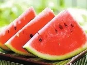 吃冰生瓜,吃冰生瓜，清凉一夏
