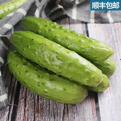 专门吃嫩瓜,揭秘专门吃嫩瓜的独特风味